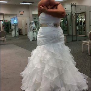 Size 18 David’s Bridal Wedding Dress